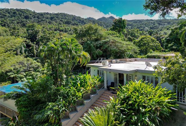 1 BARRIO JIMENEZ, Rio Grande, PR 00745