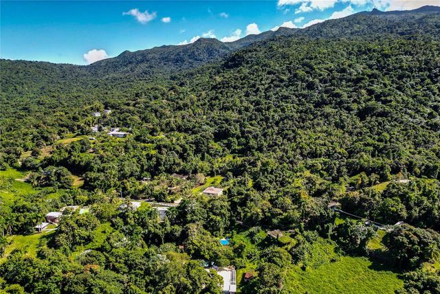 1 BARRIO JIMENEZ, Rio Grande, PR 00745