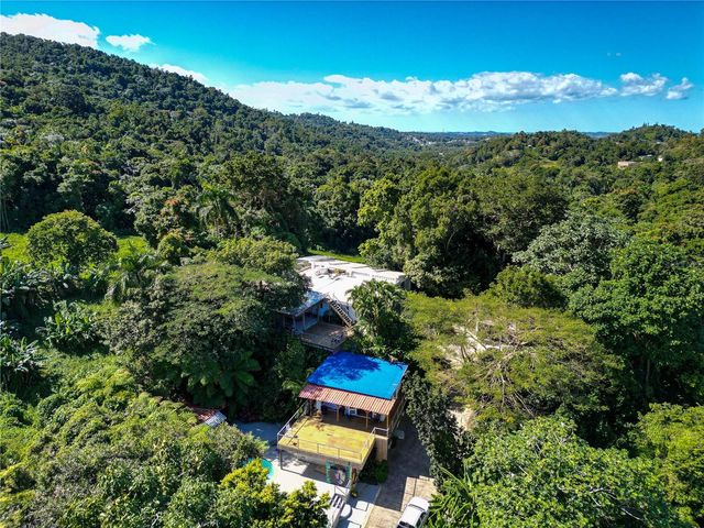 1 BARRIO JIMENEZ, Rio Grande, PR 00745