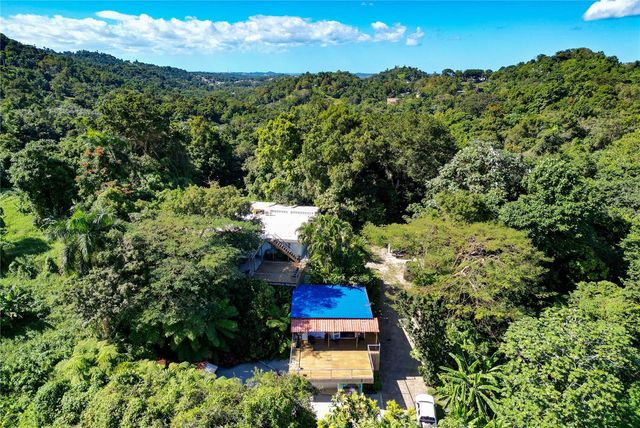 1 BARRIO JIMENEZ, Rio Grande, PR 00745