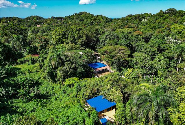 1 BARRIO JIMENEZ, Rio Grande, PR 00745