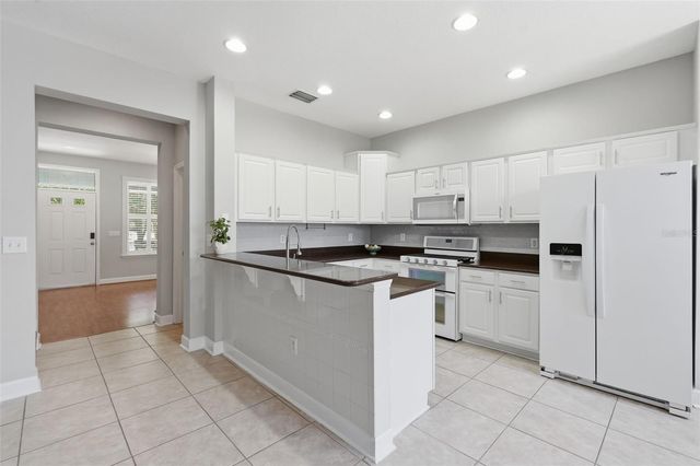 10111 HAYFIELD WAY, Tampa, FL 33626