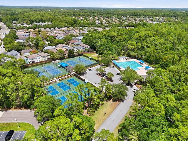 10111 HAYFIELD WAY, Tampa, FL 33626
