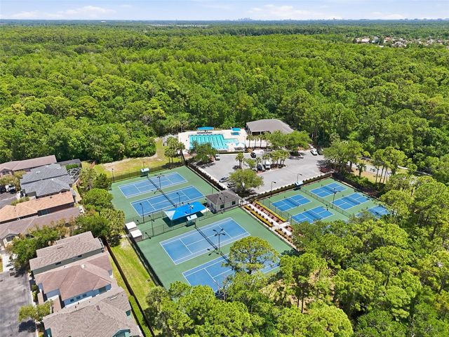 10111 HAYFIELD WAY, Tampa, FL 33626