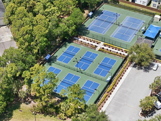 10111 HAYFIELD WAY, Tampa, FL 33626