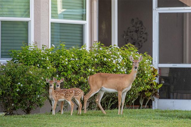 5221 MAHOGANY RUN AVENUE 215, Sarasota, FL 34241