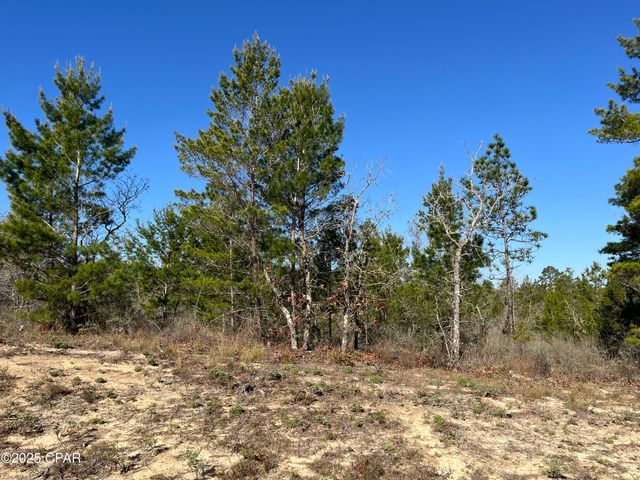 Lot 18 Carey Boulevard, Chipley, FL 32428