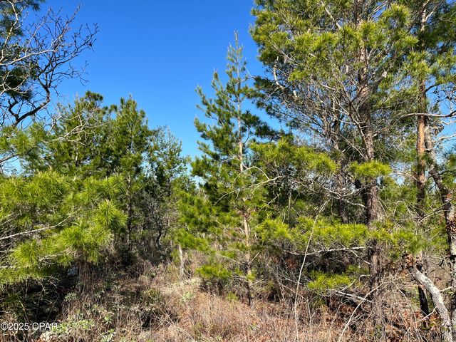 Lot 18 Carey Boulevard, Chipley, FL 32428