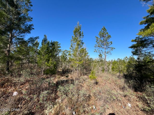 Lot 18 Carey Boulevard, Chipley, FL 32428