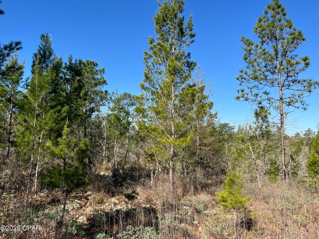Lot 18 Carey Boulevard, Chipley, FL 32428