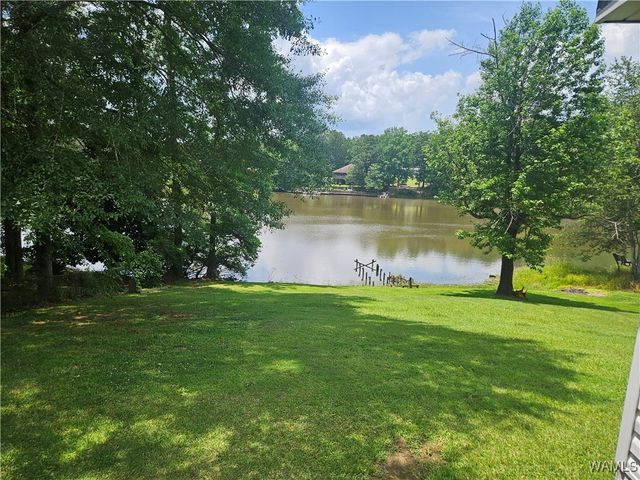 13114 Lake Arnedra Rd, Coker, AL 35452