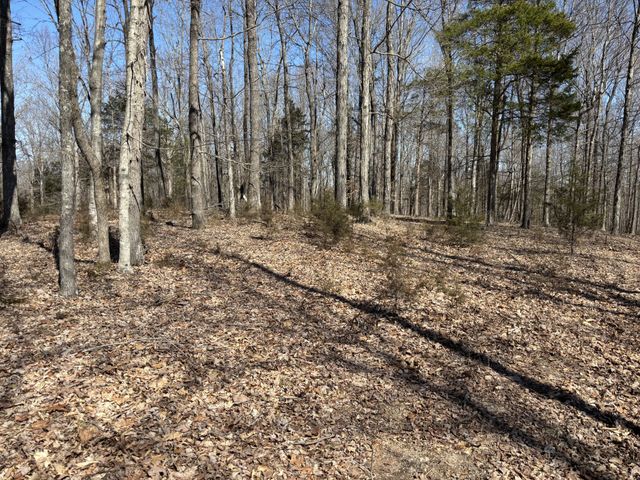 1475 Holland Road, Lafayette, TN 37083