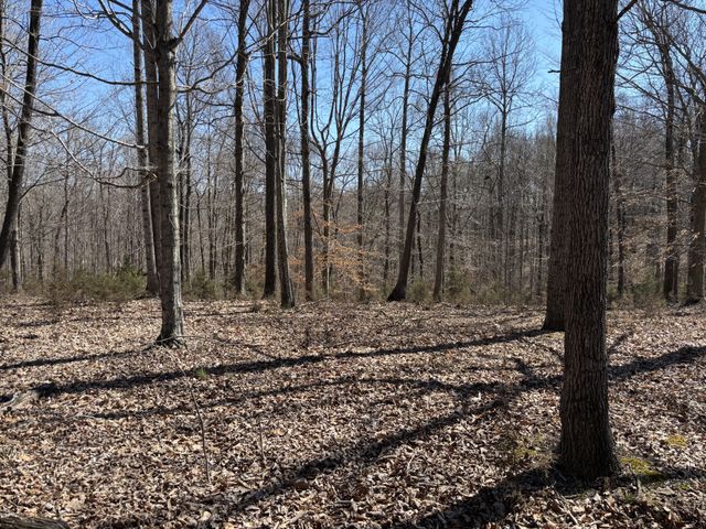 1475 Holland Road, Lafayette, TN 37083