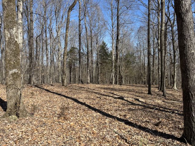 1475 Holland Road, Lafayette, TN 37083