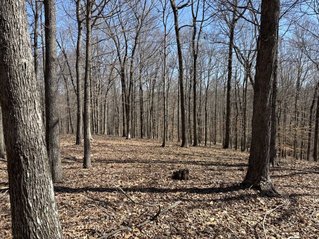 1475 Holland Road, Lafayette, TN 37083