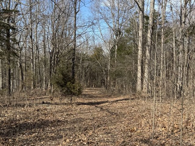 1475 Holland Road, Lafayette, TN 37083