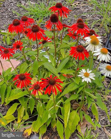 22338 WHITE OAK RD, Leonardtown, MD 20650