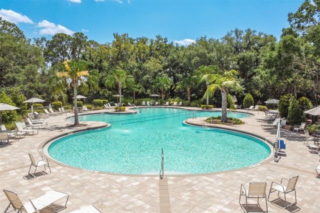 10459 LADYBUG COVE, Parrish, FL 34219