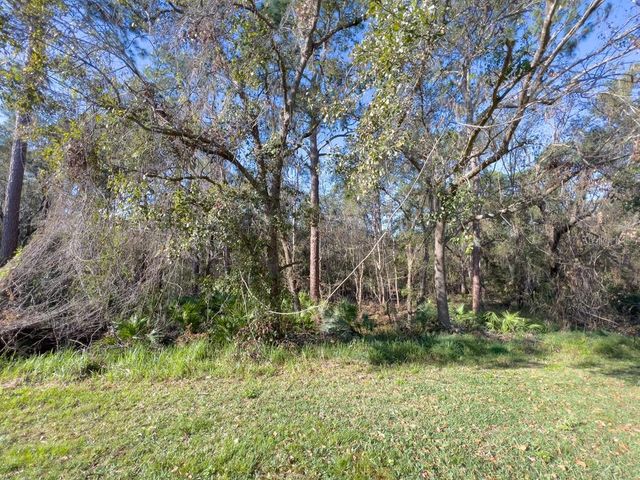 5874 FISHHAWK RIDGE DRIVE, Lithia, FL 33547