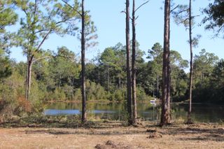 lot 28 E Michaelangelo Road, Defuniak Springs, FL 32433