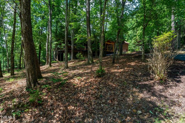 191 Bear Ridge Drive, Butler, TN 37640