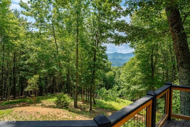 191 Bear Ridge Drive, Butler, TN 37640