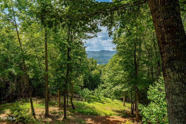 191 Bear Ridge Drive, Butler, TN 37640