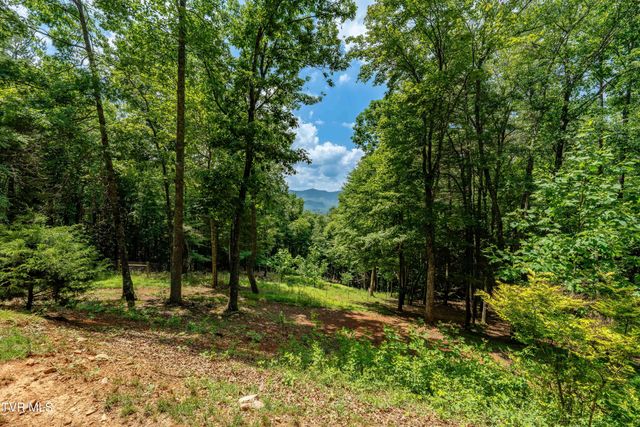 191 Bear Ridge Drive, Butler, TN 37640