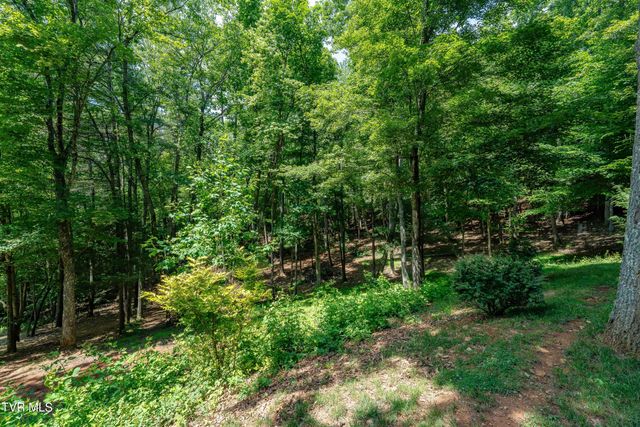 191 Bear Ridge Drive, Butler, TN 37640