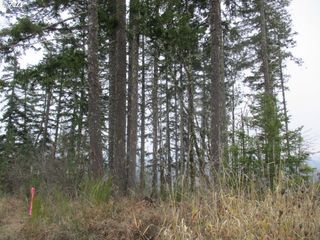 0 Sw Rock Creek Rd, Sheridan, OR 97378