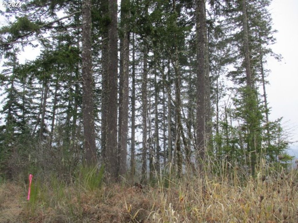 0 Sw Rock Creek Rd, Sheridan, OR 97378