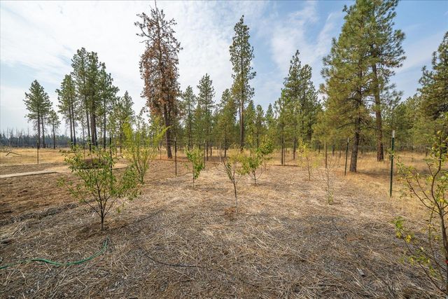 18206 S Hanson Pond Ln, Cheney, WA 99004