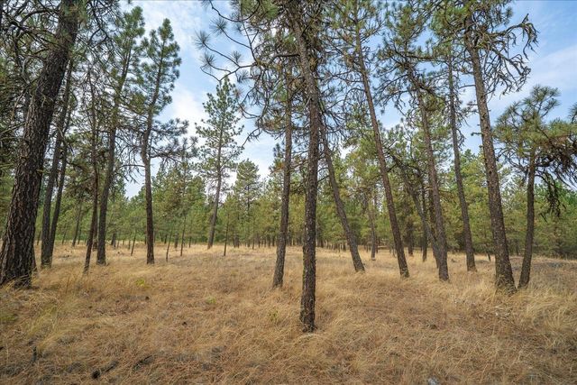 18206 S Hanson Pond Ln, Cheney, WA 99004