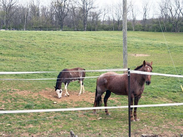 1100 Keene Road, Nicholasville, KY 40356
