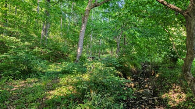 2072 McMahan Hollow Rd, Pleasant View, TN 37146