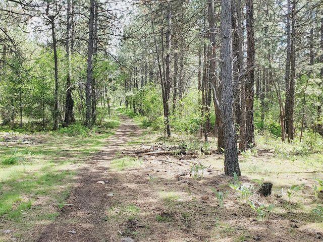 00 E Bigelow Gulch Rd, Spokane, WA 99217