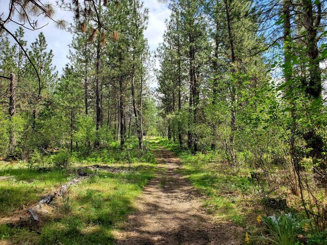 00 E Bigelow Gulch Rd, Spokane, WA 99217