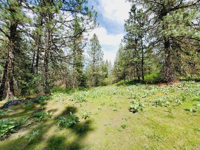 00 E Bigelow Gulch Rd, Spokane, WA 99217