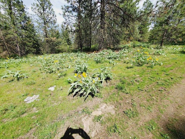 00 E Bigelow Gulch Rd, Spokane, WA 99217