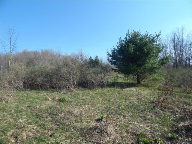 3918 Alene Corners Road, Lincoln, NY 13032