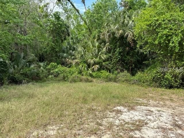 1747 TURTLE HILL ROAD, Deltona, FL 32725