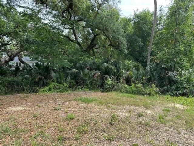 1747 TURTLE HILL ROAD, Deltona, FL 32725