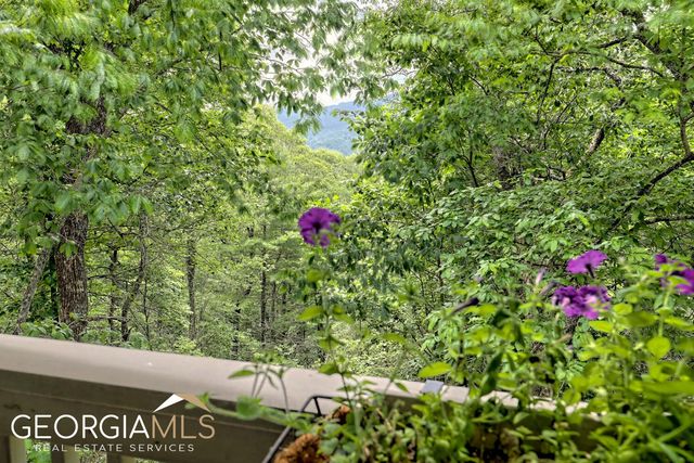 291 Smokehouse Knob Drive, Rabun Gap, GA 30568