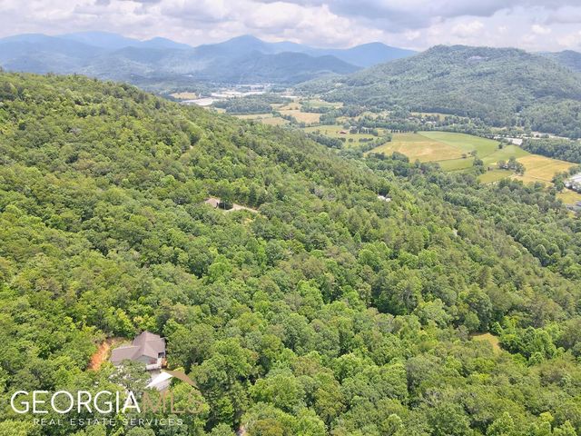 291 Smokehouse Knob Drive, Rabun Gap, GA 30568
