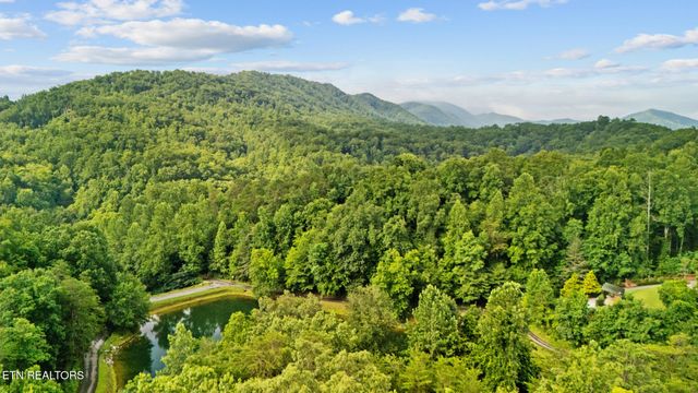 413 Hickory Tree Hollow Rd, Sevierville, TN 37876
