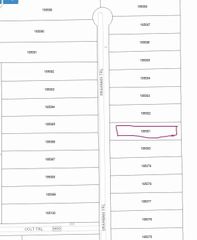79 Brahman Trail, Angleton, TX 77515
