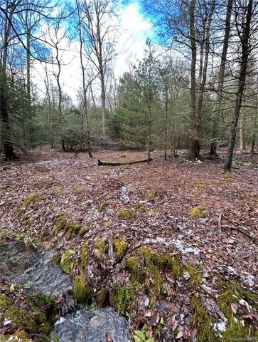 143 Brandt Road, Cuddebackville, NY 12729