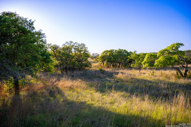 LOT 31 Shady Hollow, Blanco, TX 78606