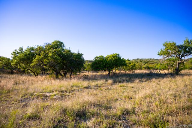 LOT 31 Shady Hollow, Blanco, TX 78606