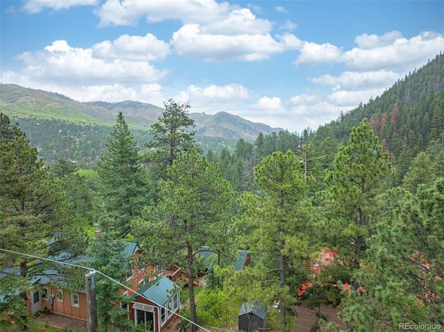 4390 Prairie Street, Cascade, CO 80809